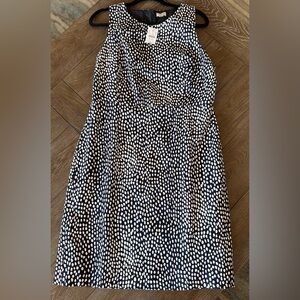 NWT J CREW NAVY and White Polka Dot Dress
